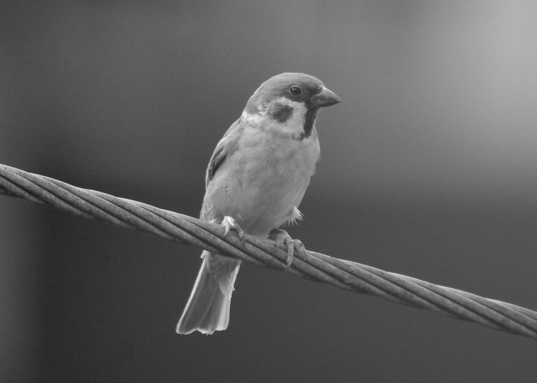 DSC_3258.jpg