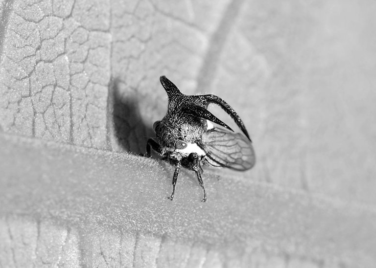 DSC_8571x.jpg