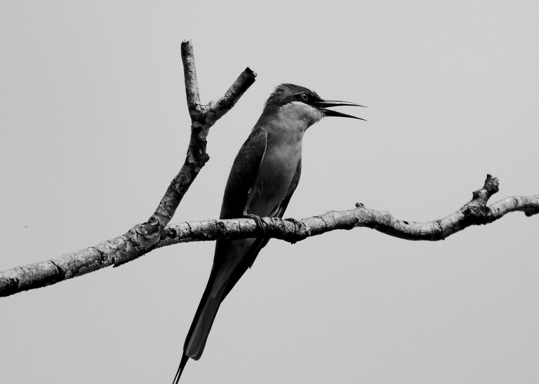 DSC_7128.jpg