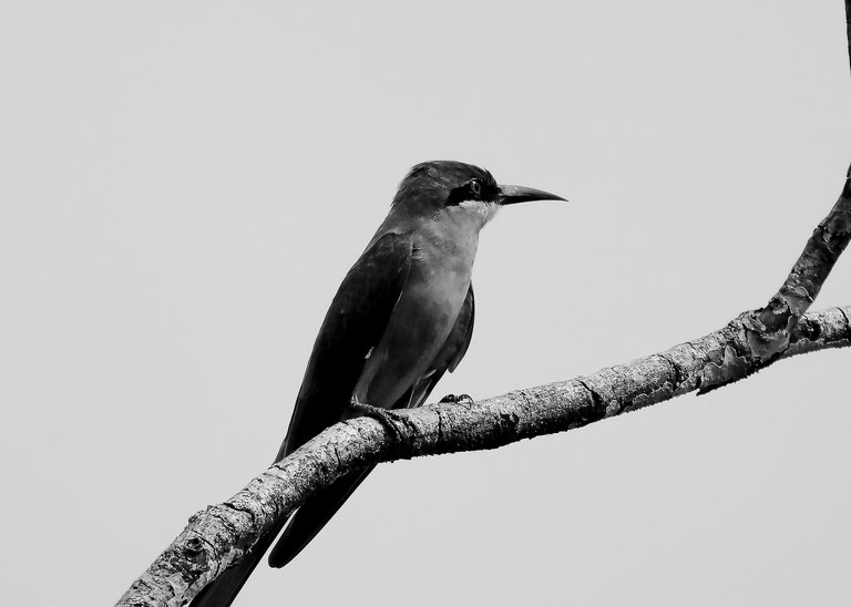 DSC_6953.jpg