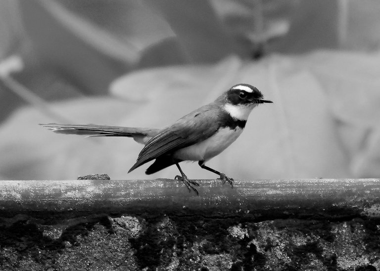 DSC_5821.jpg