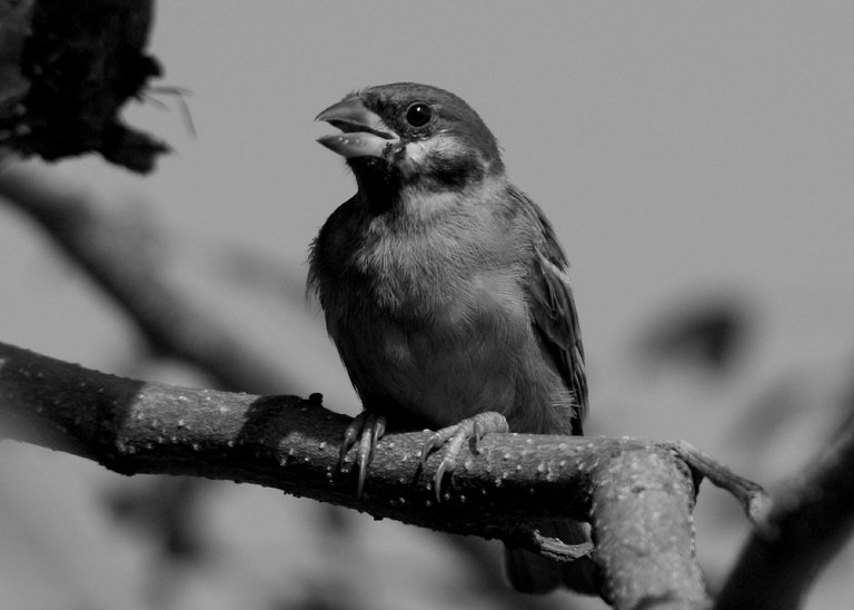 DSC_6746.jpg