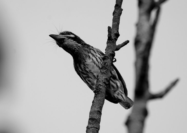 DSC_1978.jpg