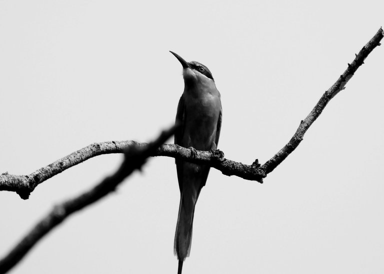 DSC_7046.jpg