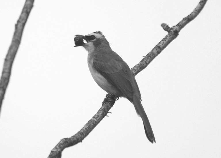 DSC_5971.jpg
