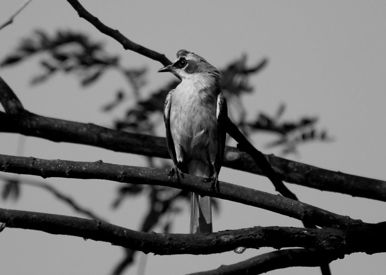 DSC_9692.jpg
