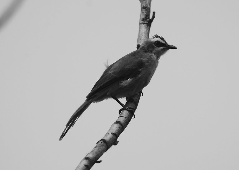 DSC_3504.jpg