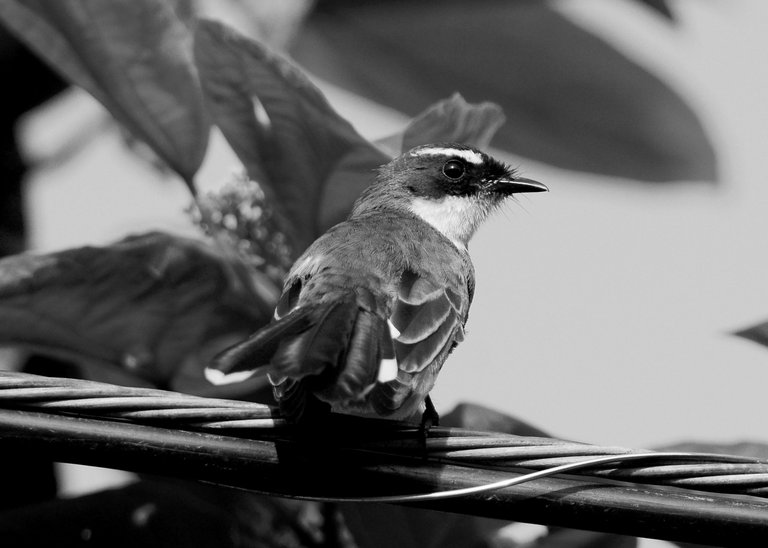 DSC_2791.jpg