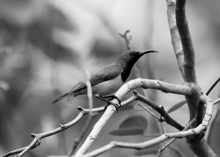 DSC_1464.jpg