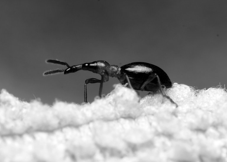 DSC_3171.jpg