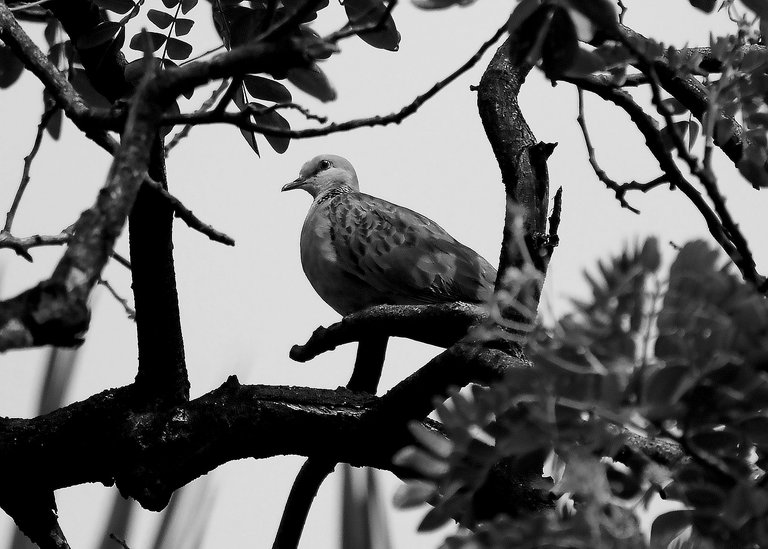 DSC_6904.jpg