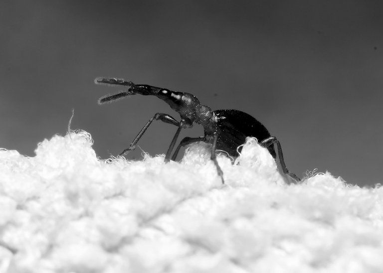 DSC_3161.jpg