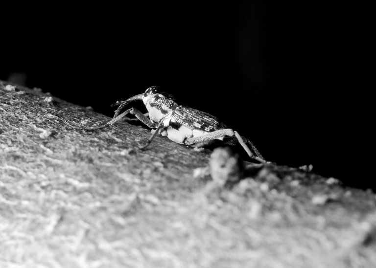 DSC_1513_01.jpg