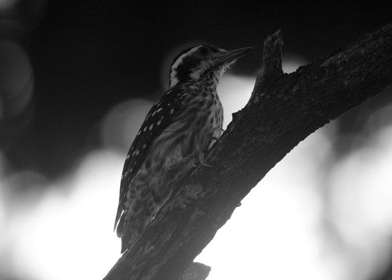 DSC_5673.jpg