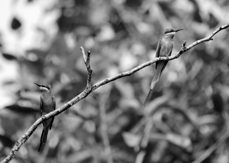 DSC_6923.jpg
