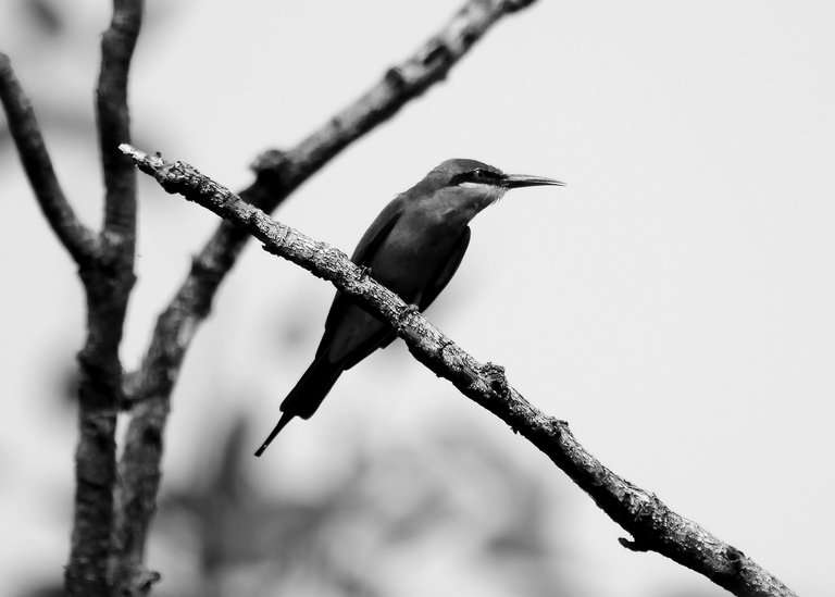 DSC_6872.jpg