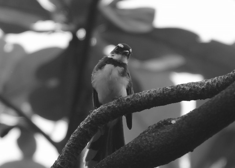 DSC_3988.jpg
