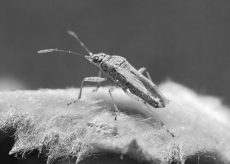 DSC_4819.jpg