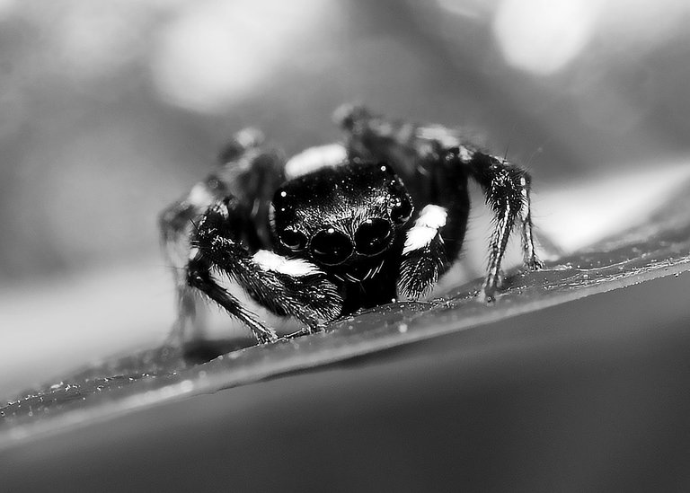 DSC_0492.jpg