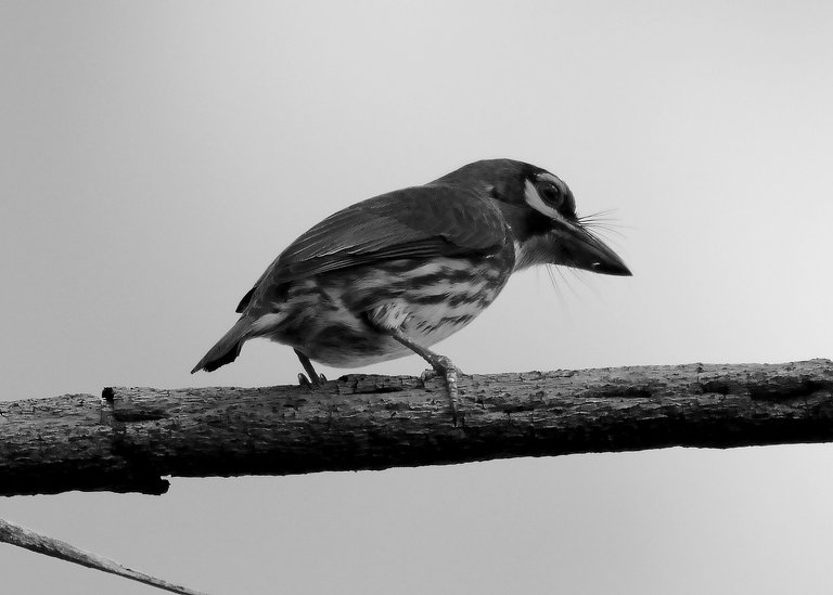 DSC_0431.jpg