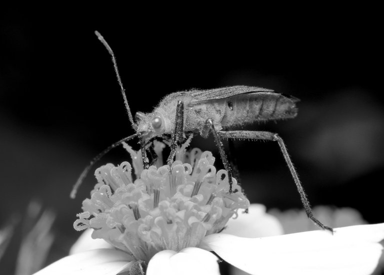 DSC_9709.jpg