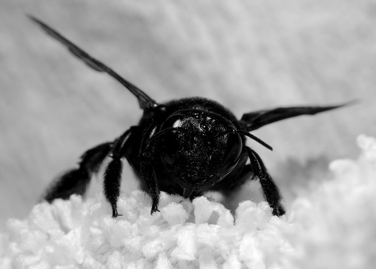 DSC_8764.jpg