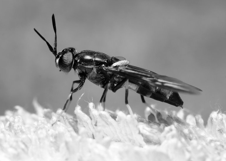 DSC_1894.jpg