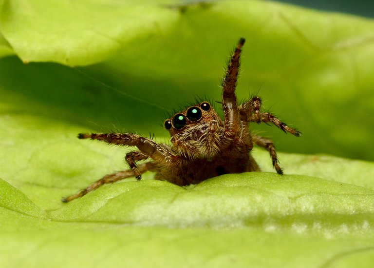 DSC_5680.jpg