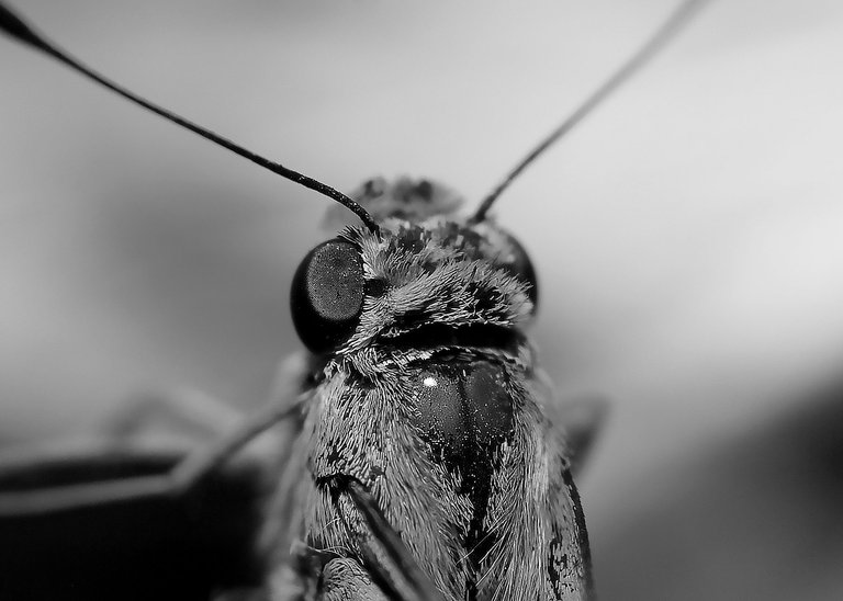 DSC_3914.jpg