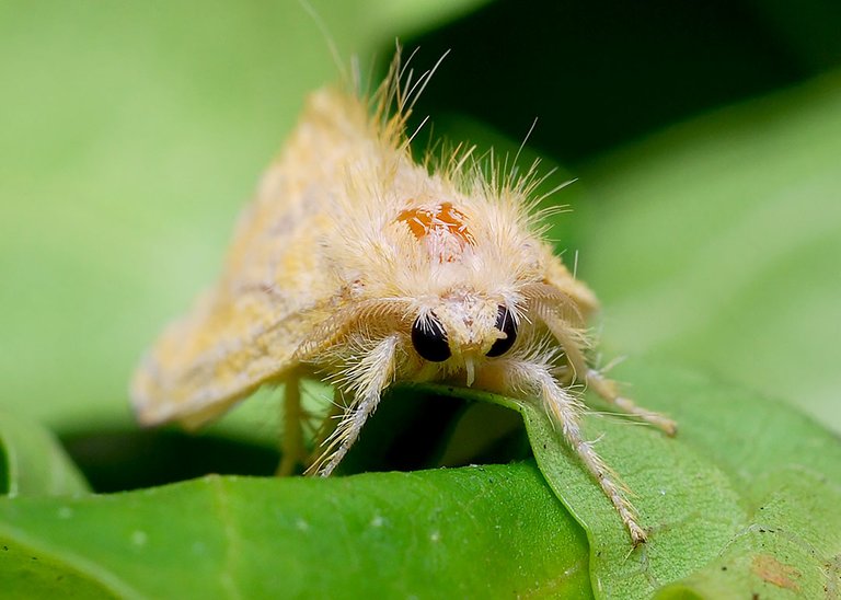 DSC_6639.jpg