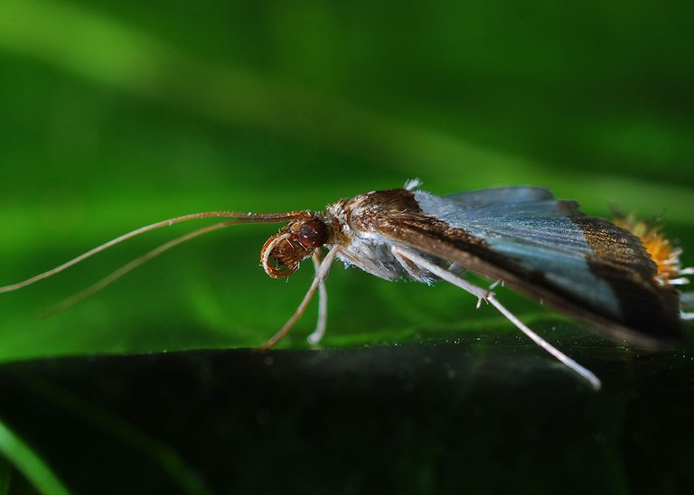 DSC_8395.jpg