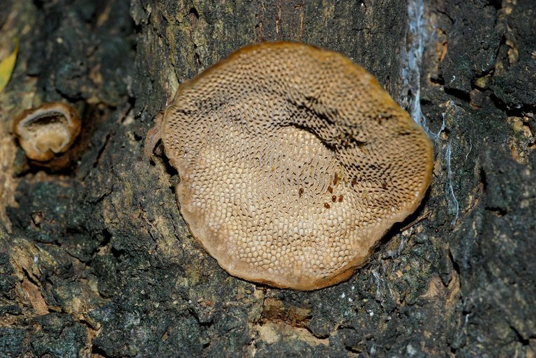 DSC_5497.jpg