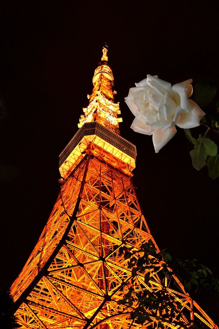 Tokyotower-5.jpg