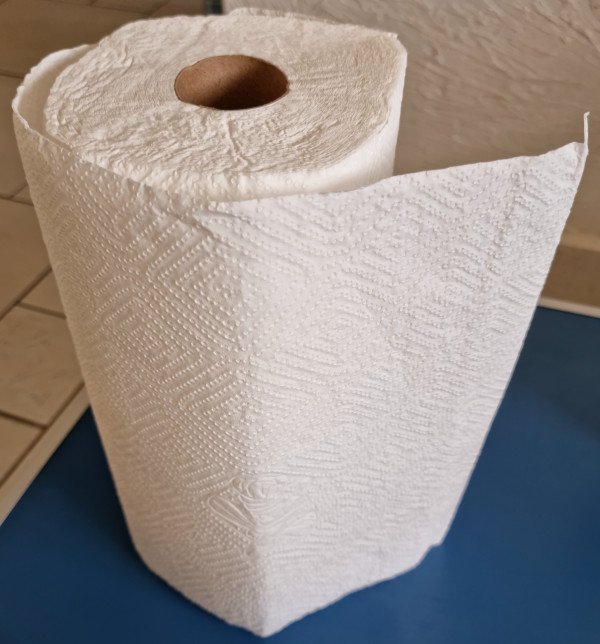 Paper towel.jpg