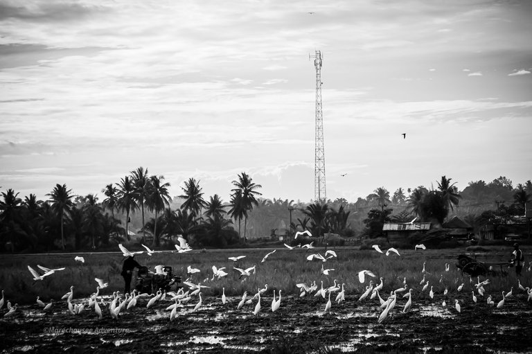 DSC07783 (1).jpg