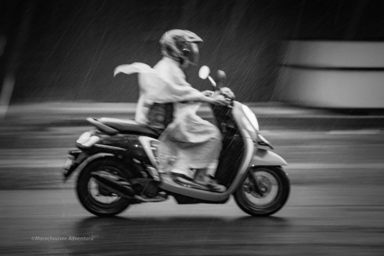 DSC03988.jpg
