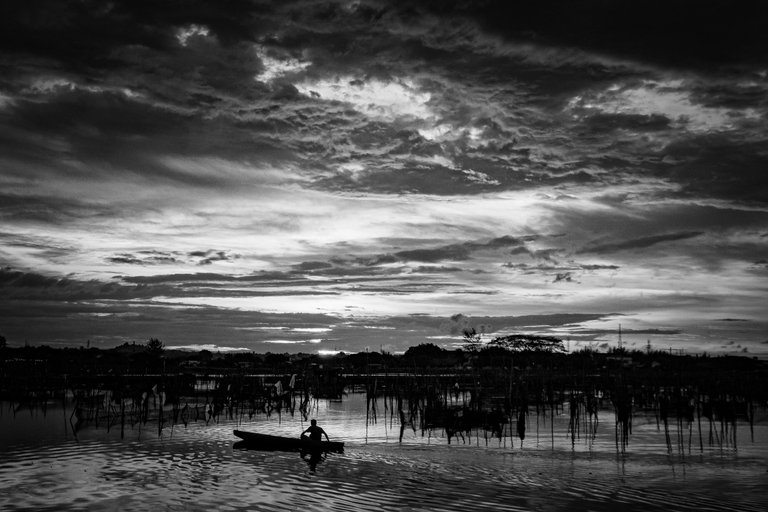 DSC05361_1 (1).jpg