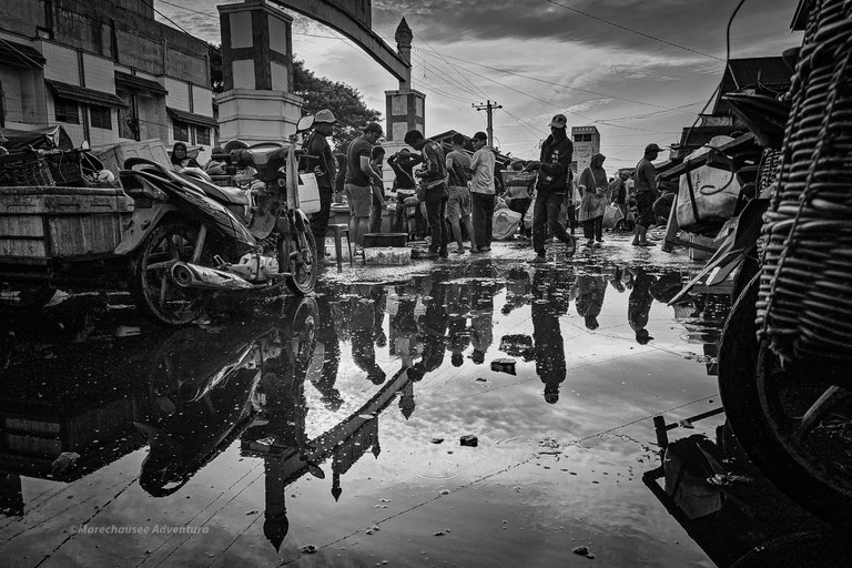 20250823_074406(0).jpg