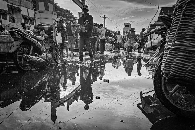 20250823_074408(0).jpg