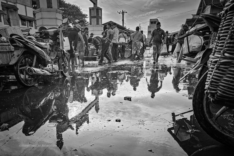 20250823_074345 (1).jpg