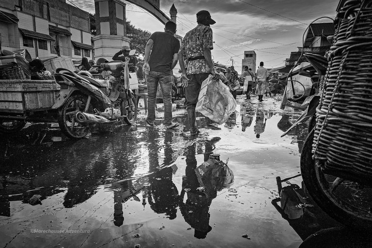 20250823_074355(0).jpg