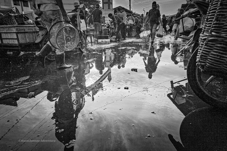 20250823_074347 (1).jpg