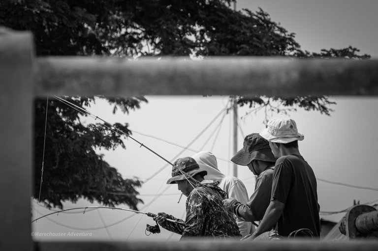 DSC08573.jpg