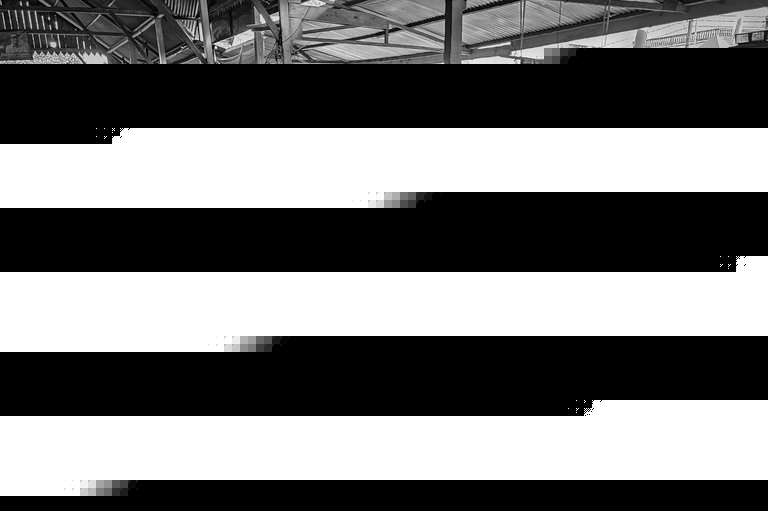 20250807_092437.jpg