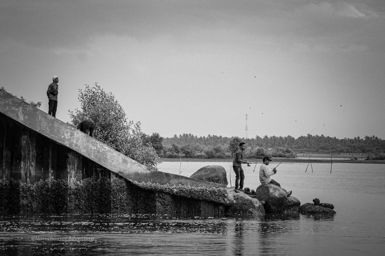 DSC07024 (1).jpg