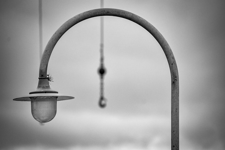 DSC_0156 (1).jpg