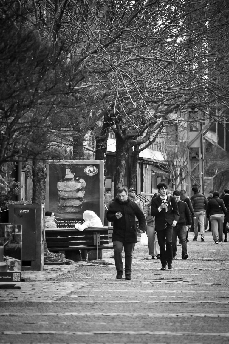 DSC_0089 (1).jpg