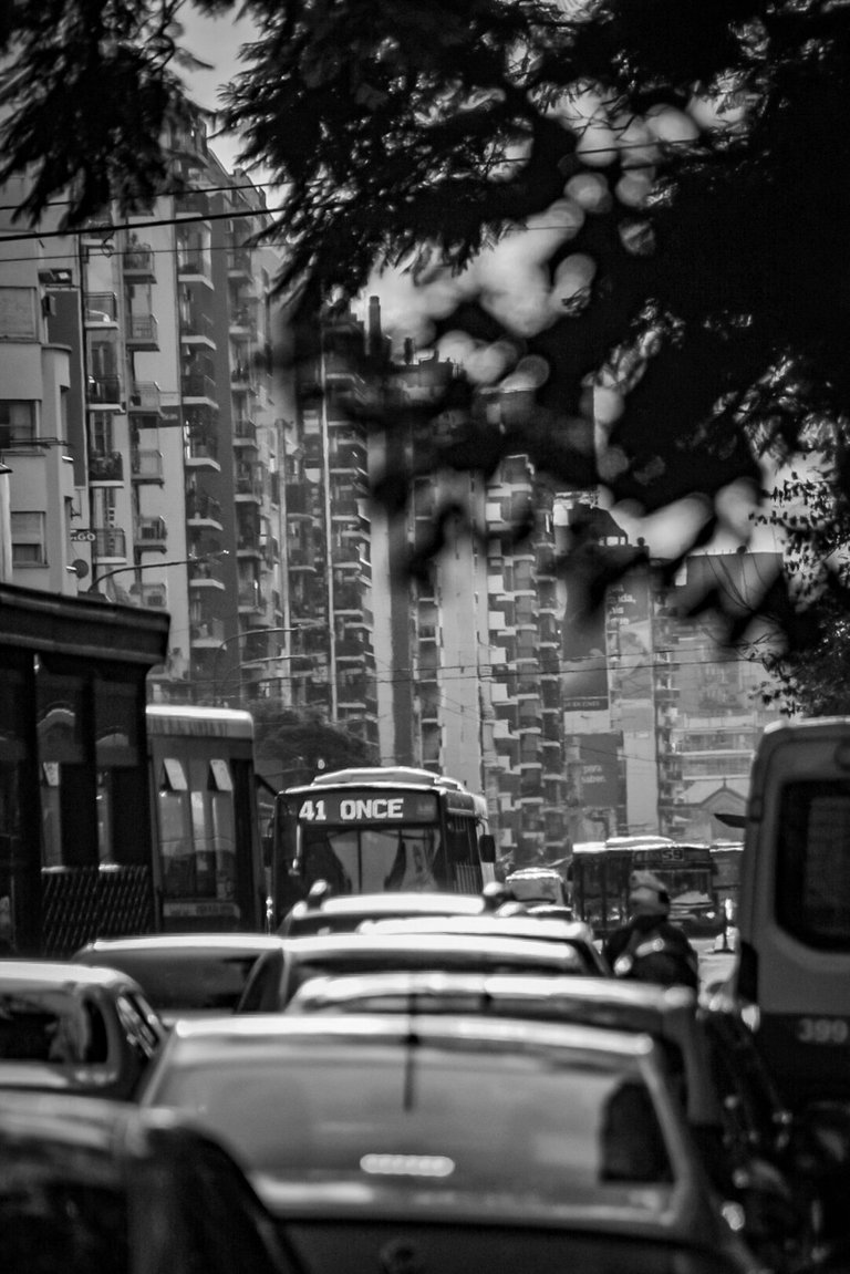 DSC_0470 (1) (1).jpg