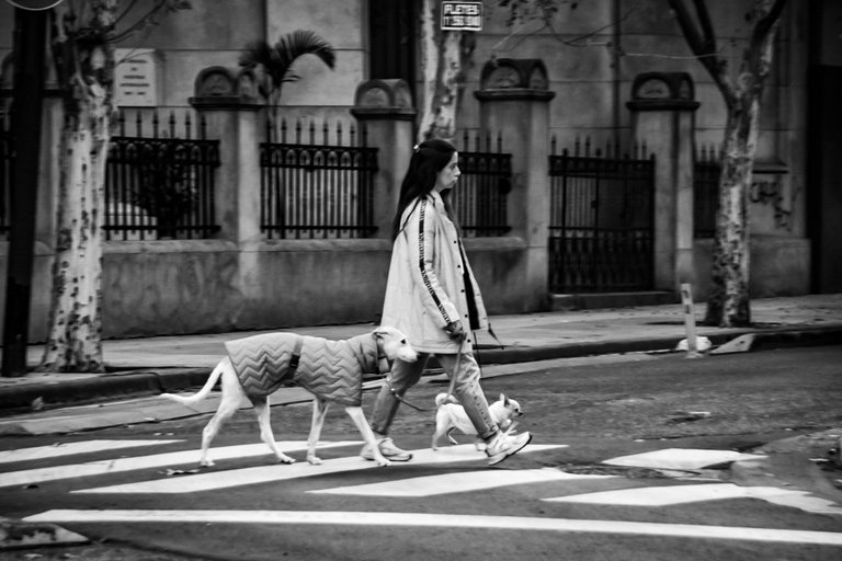 DSC_0060 (1).jpg
