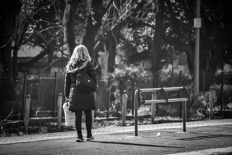 DSC_0504 (1).jpg